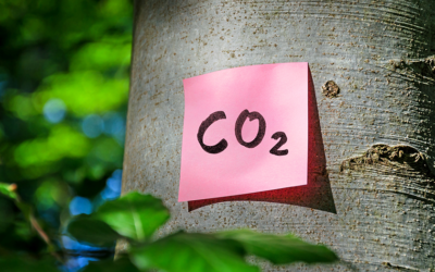 Carbon Footprint of General, Regional, and Combined Anesthesia for Total Knee Replacements