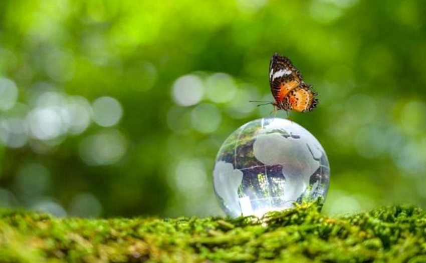 Tribune One Health : « Nos 5 grands principes de santé globale, pour anticiper les menaces du 21e siècle »