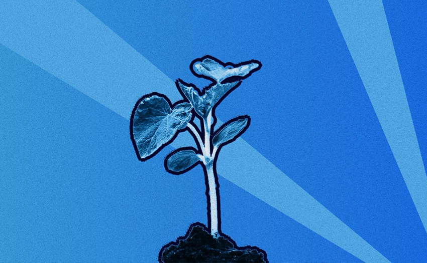 Le Conseil constitutionnel doit censurer la loi Duplomb au nom du principe de précaution